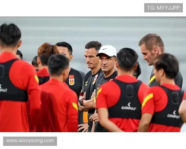 马来西亚足协承认违规归化操作为技术性失误 称将配合FIFA调查 马来西亚足协承认违规归化操作为技术性失误 称将配合FIFA调查