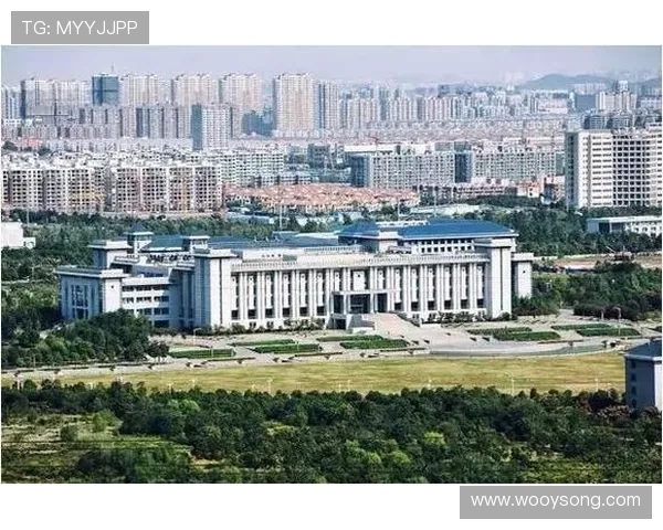 3D钱王点评预测助你掌握市场动态与投资机会的全新视角 3D钱王点评预测助你掌握市场动态与投资机会的全新视角