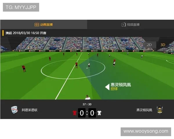 足球比赛直播运营总结与未来发展策略探讨