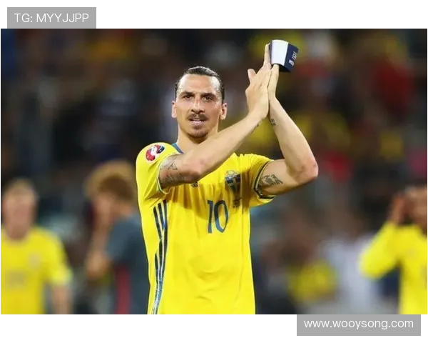 波特同意接手瑞典国家队 半年短期合约已签署